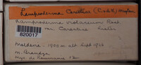 Image Associated With the Occurence